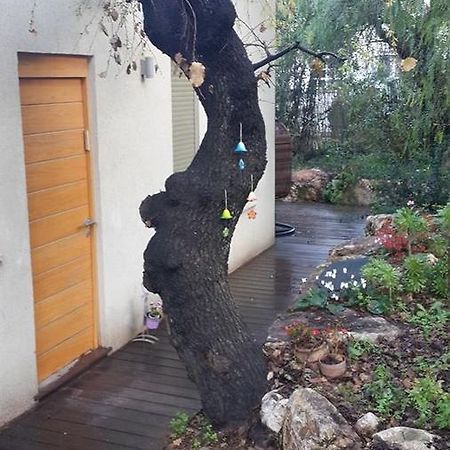Вилла Oak Shade Bethlehem of Galilee Экстерьер фото