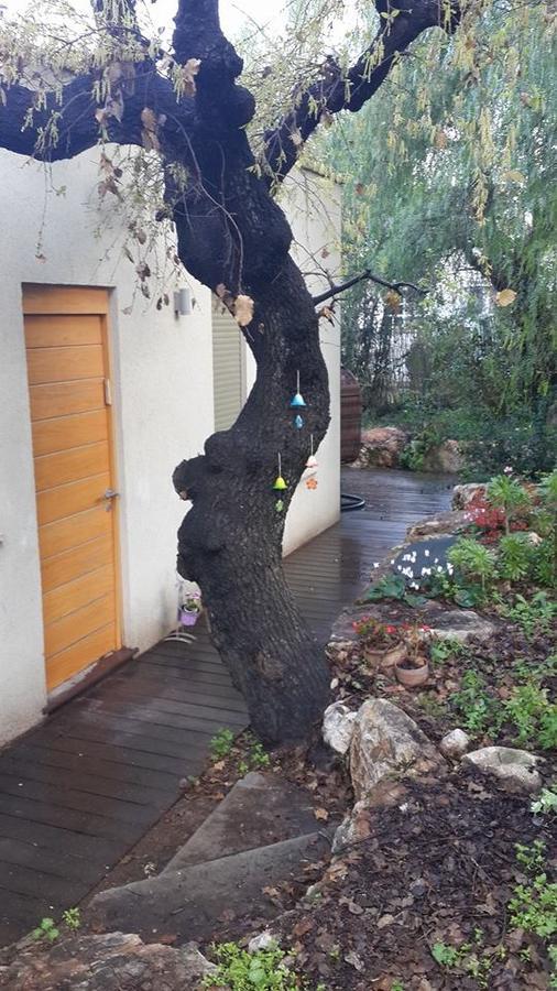 Вилла Oak Shade Bethlehem of Galilee Экстерьер фото